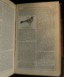 b7951280-ee91-4808-99d5-019fb6351c22