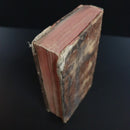 b80037e1-3085-40a8-959f-e9e41608abad