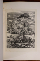 1867 Wayside Posies: Original Poems Of The Country Life Antiquarian Poetry Book-6