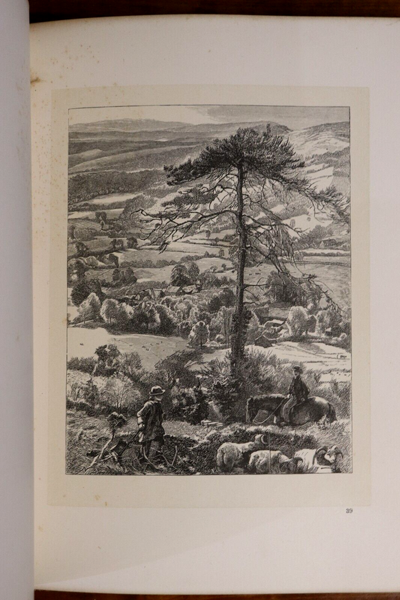 1867 Wayside Posies: Original Poems Of The Country Life Antiquarian Poetry Book