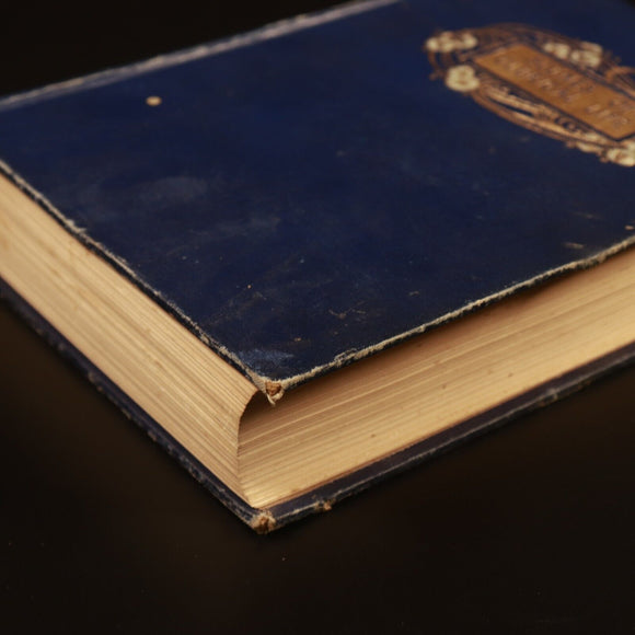 b8b16b10-5067-4662-b387-a250f016f6f2