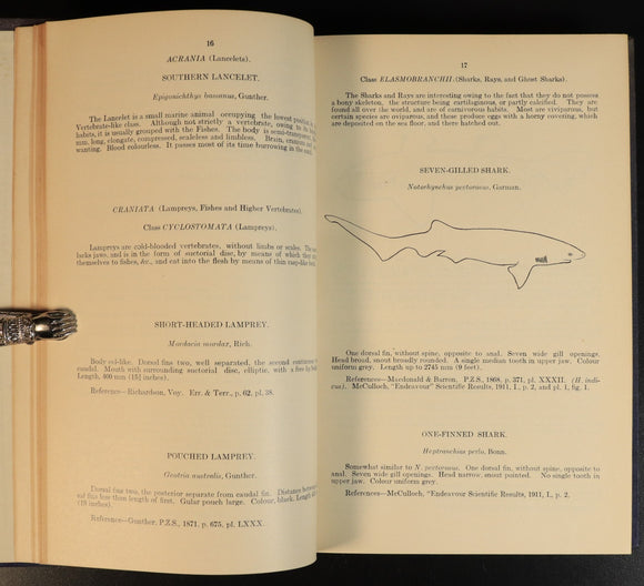 ba74b5a0-396a-4279-8d24-b6021e47201a