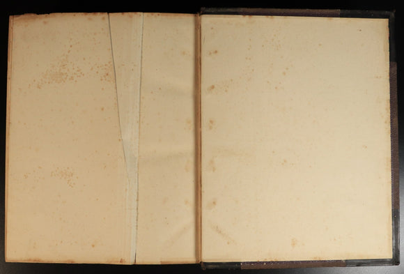 ba7873d8-57c0-4d96-aa1d-f51d92977153