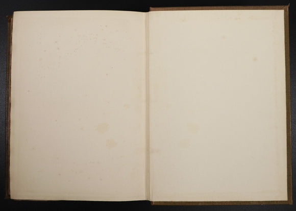 bb33154d-61ca-4564-9739-ce7a615b9431