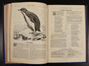 1889 Home Words For Heart & Hearth Antique British Literature Theology Book-8