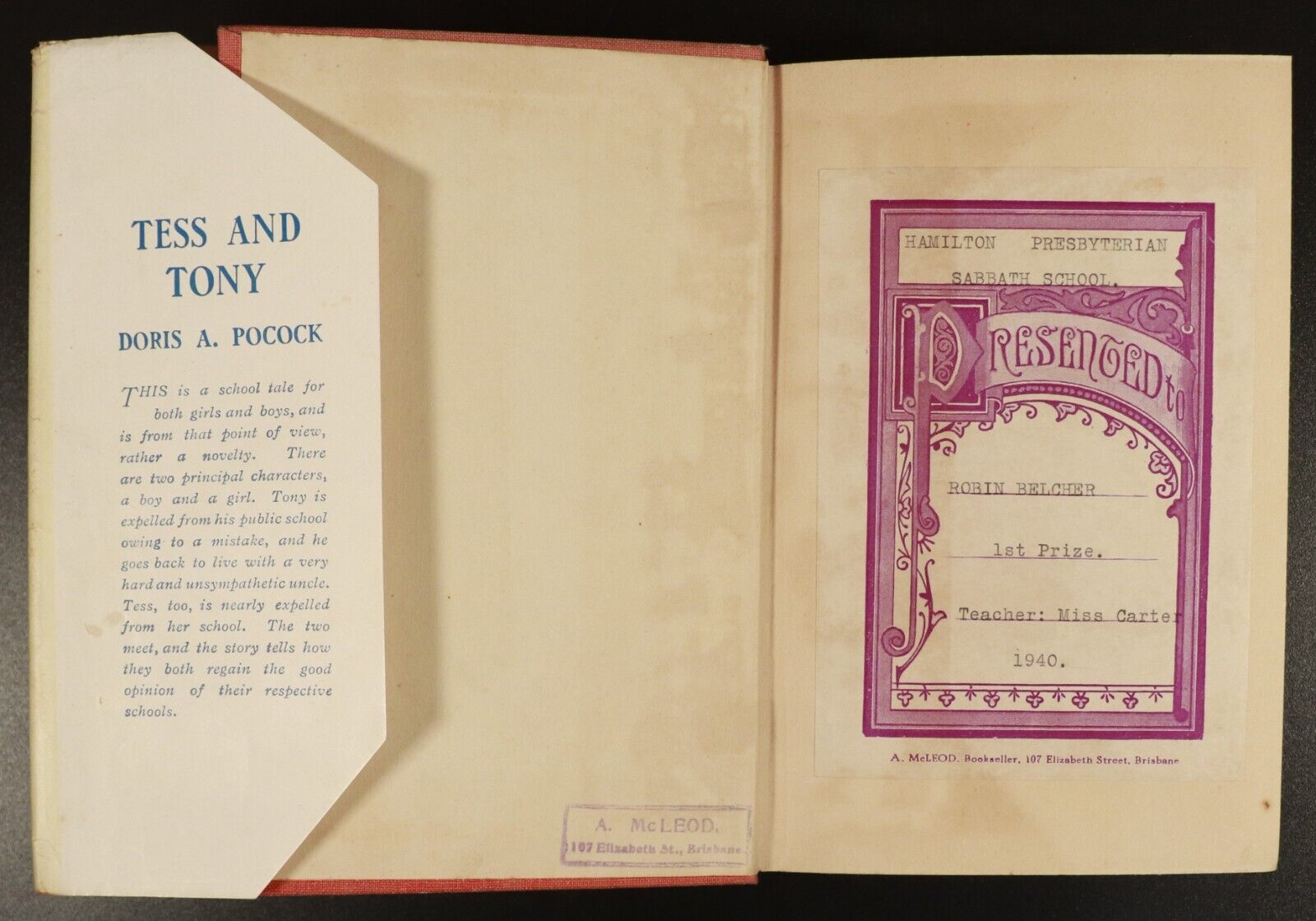 c1925 Tess & Tony by Doris A. Pocock Antique British Childrens Fiction Book