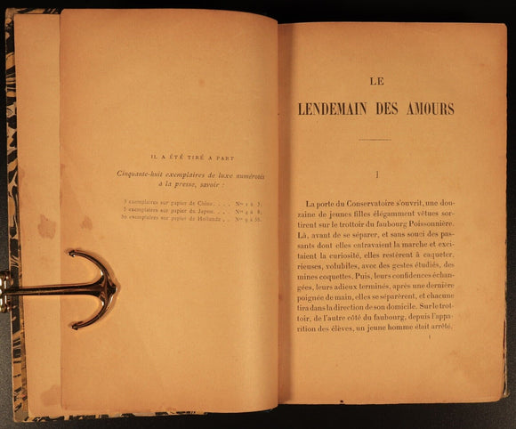 1893 Le Lendemain Des Amours by Georges Ohnet Antiquarian French Fiction Book