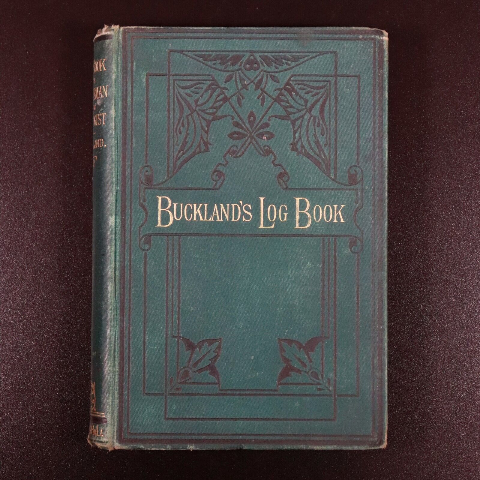 1883 Log-Book Of A Fisherman & Zoologist F Buckland Antique Natural History Book