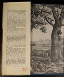 bd0684c3-2353-4feb-bda2-23a5098a6e17