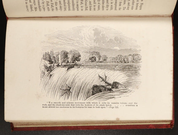 1880 Glimpses Of Nature Science & Art For The Young Antique Natural History Book