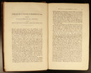 1853 2vol State Of Europe During Middle Ages Antiquarian History Books H. Hallam-7