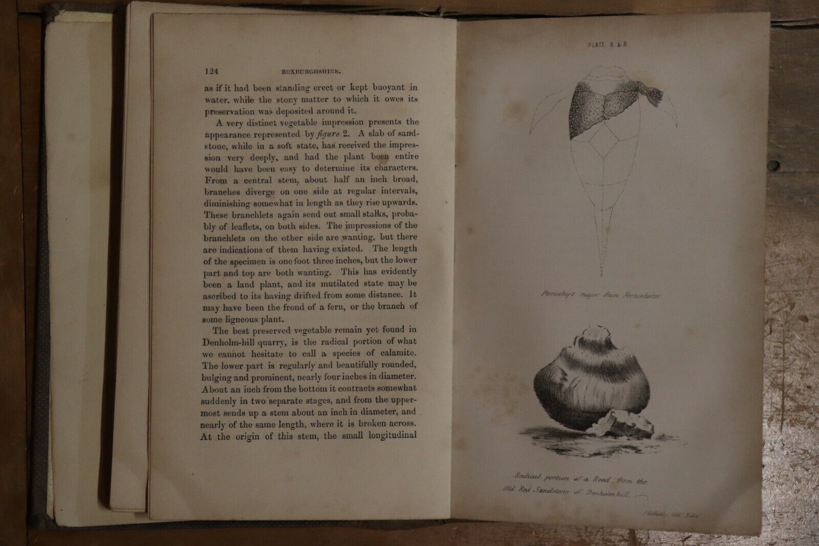 1857 2vol History & Antiquities Of Roxburghshire Antique British History Books