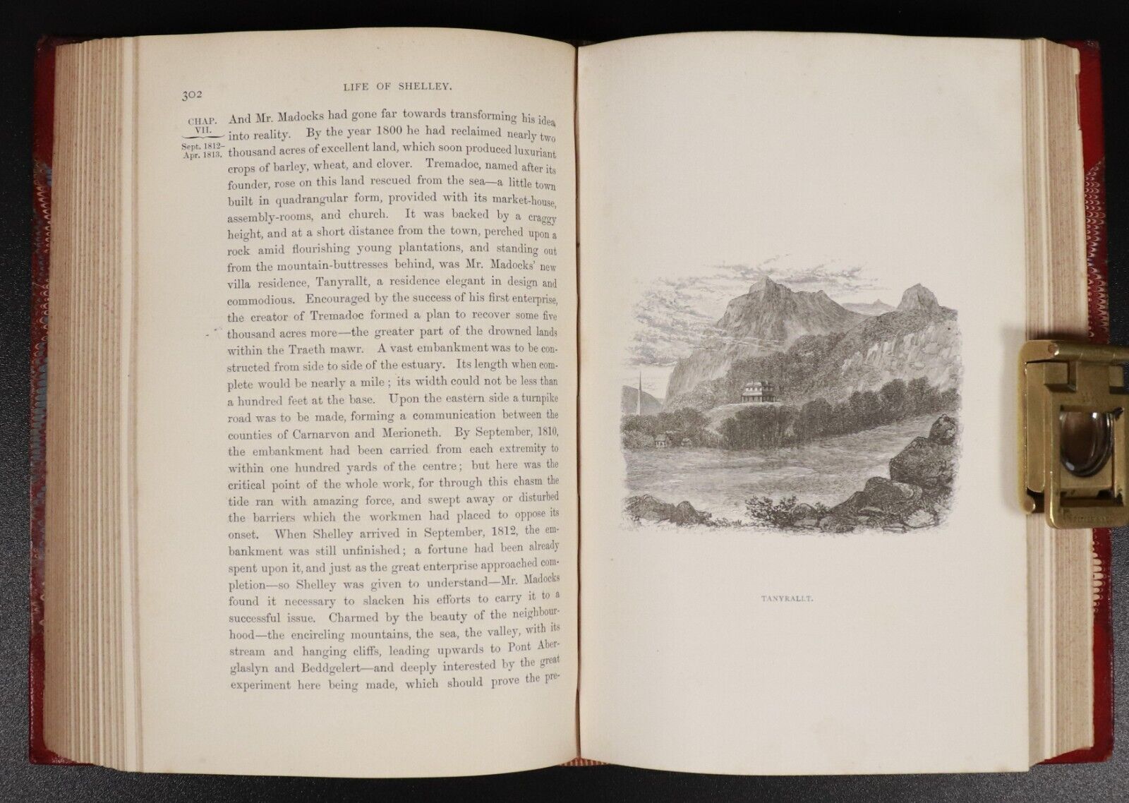 1886 2vol The Life Of Percy Bysshe Shelley by E. Dowden Antique History Book Set