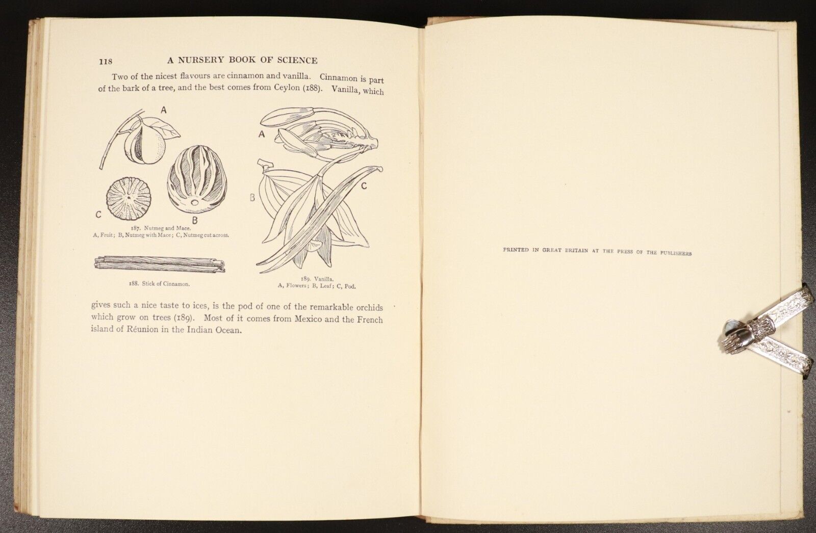 c1935 A Nursery Book Of Science Antique Childrens Book by The Cockiolly Bird