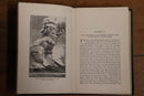 1895 Modern Science In Bible Lands by John Dawson Antique History Book Palestine-4