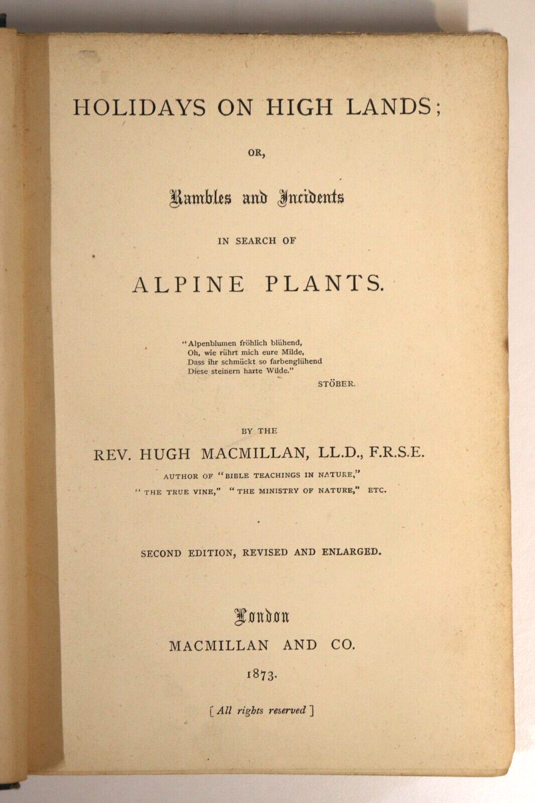 1873 Holidays On High Lands Search Of Alpine Plants Antique Natural History Book - 0