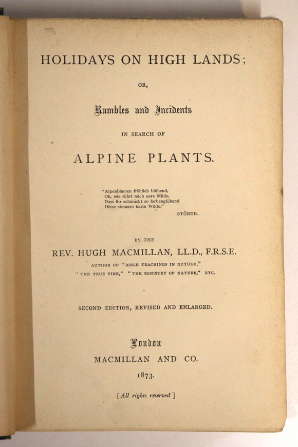 1873 Holidays On High Lands Search Of Alpine Plants Antique Natural History Book