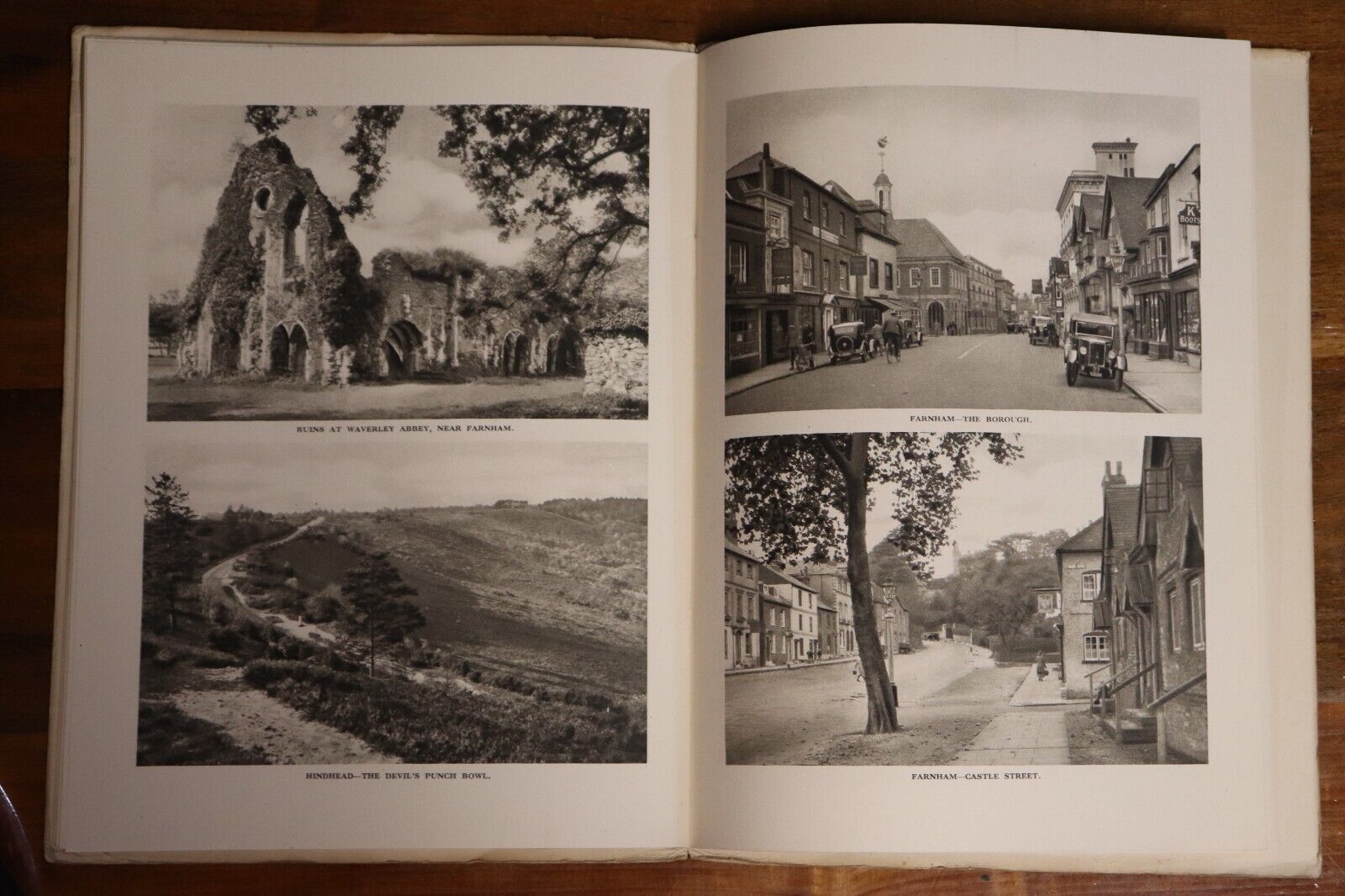 1934 The Beauty Of Surrey Antique British Natural History Book Dixon-Scott