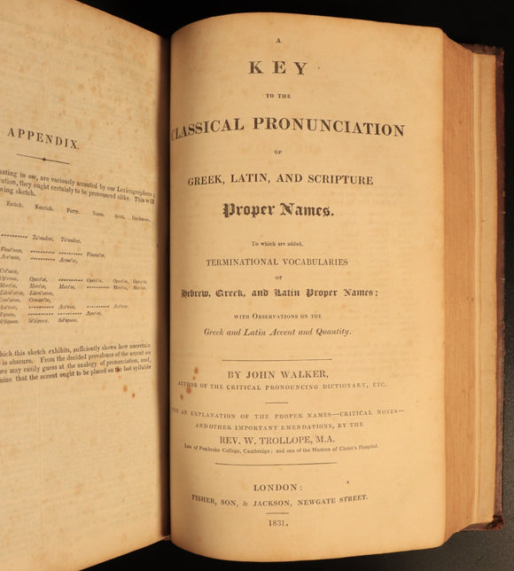 c19f5981-619d-4555-9daf-d9c92c999c24