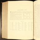 1903 The Encyclopaedia Britannica Vol XXXIV MAPS Antique Reference Book 10th Ed-13
