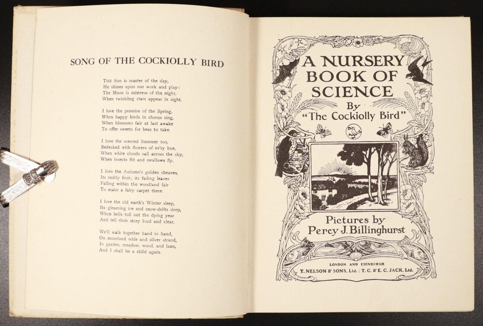 c1935 A Nursery Book Of Science Antique Childrens Book by The Cockiolly Bird - 0