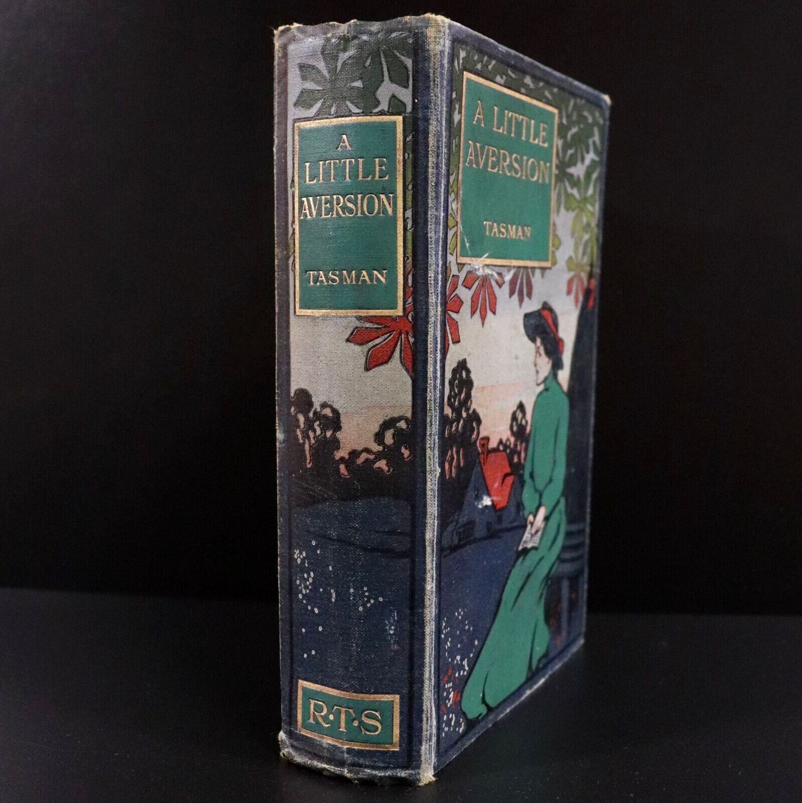 c1910 A Little Aversion by Tasman Illustrated Australian Fiction Book