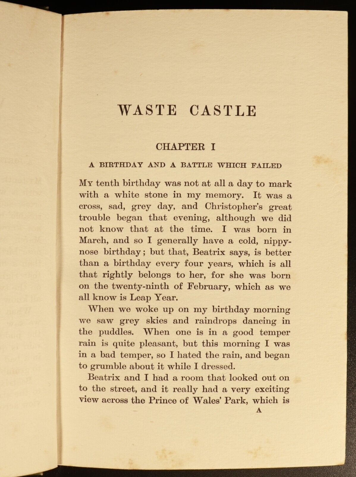 1907 Waste Castle by Winifred M. Letts Antique Fiction Book Illustrated 1st Ed