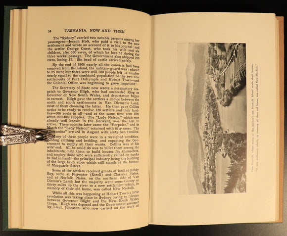 c49a1171-37c8-432b-85ea-fd6b5defaa3a