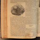 c4e0b71f-962d-432f-9bee-d9b2eb7657ae