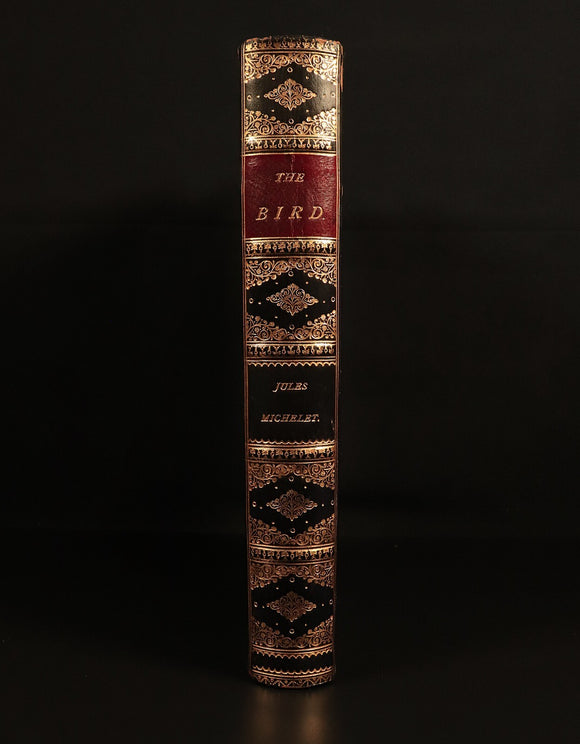 The Bird by Jules Michelet & Giacomelli 1895 Antique Natural History Book Gilt