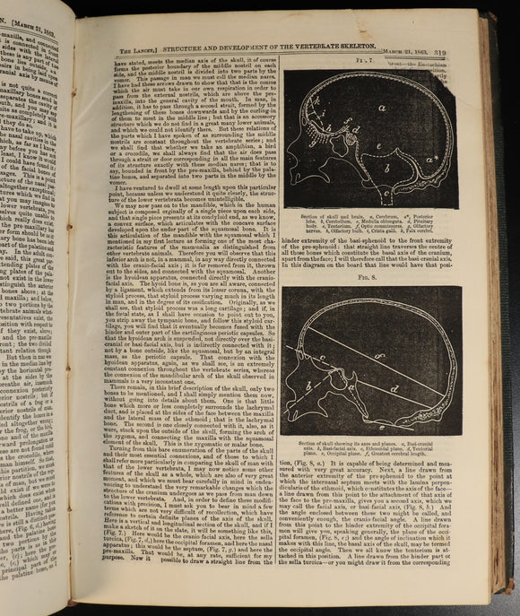 c5c0f546-f163-4b8c-9ba5-c8a0d52f635f