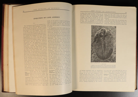 c67d5ad1-9455-4e69-b58c-870e9b1cbc6c