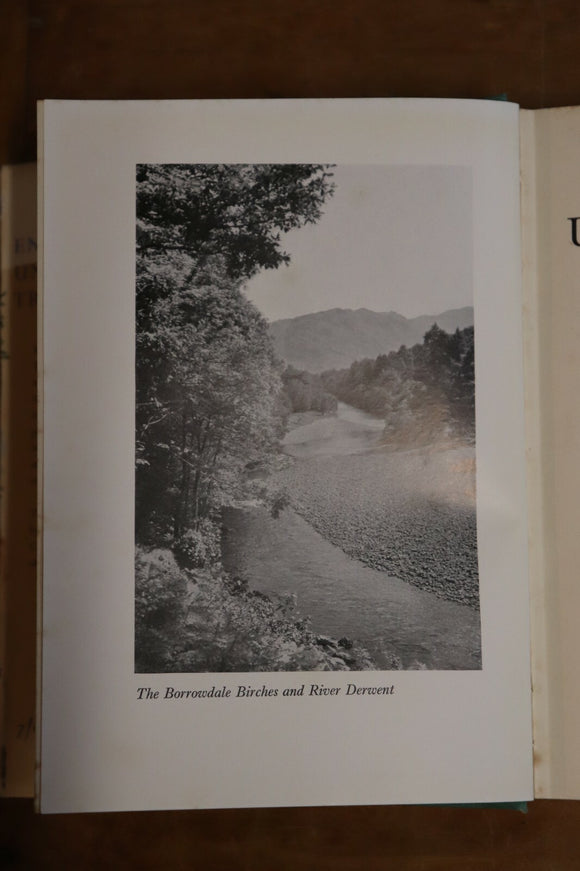 c6985e5f-6075-443c-ac9d-5f168be7eade