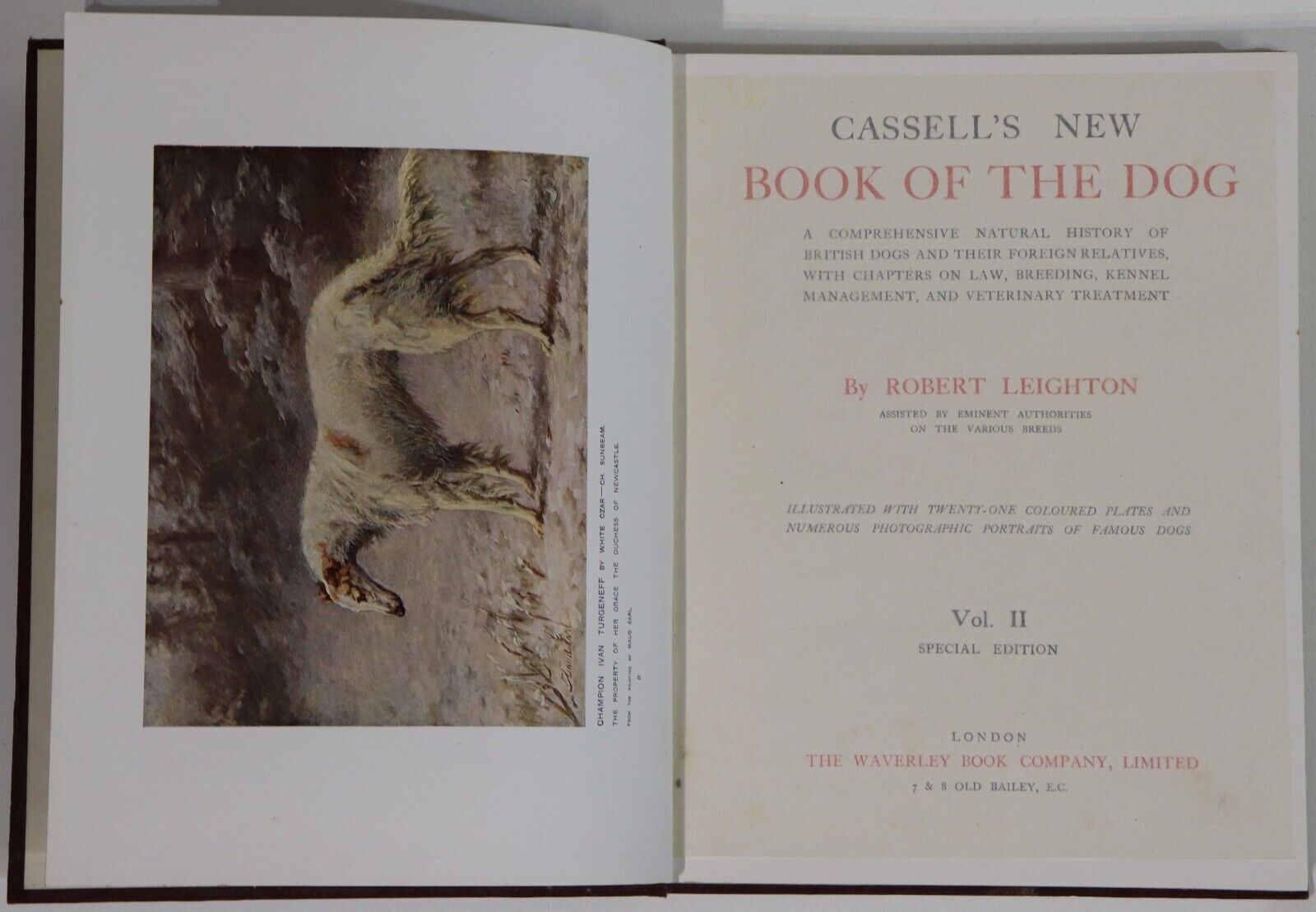 c1912 Cassell's New Book Of The Dog Antique British Dog Reference Books