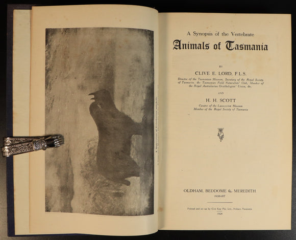 c6b5eca0-7dc9-440e-855d-e5b39f9d7efa