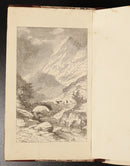 c8c8b3d9-fd81-44c8-8e1d-bd5def72493c