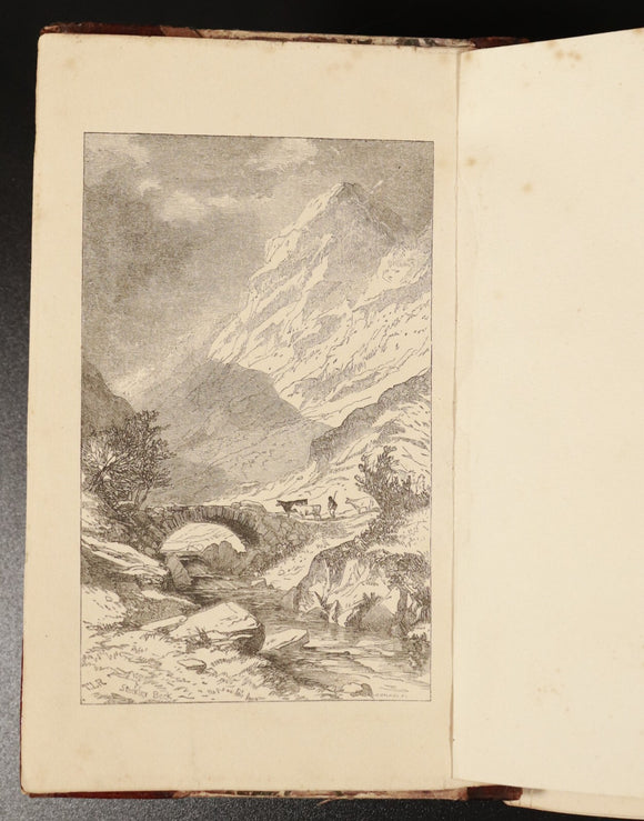 c8c8b3d9-fd81-44c8-8e1d-bd5def72493c