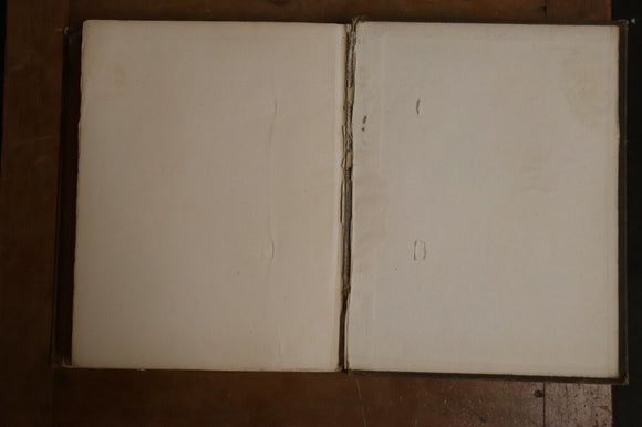 c994d877-505a-4fa6-9f1a-e9ef00b80df9