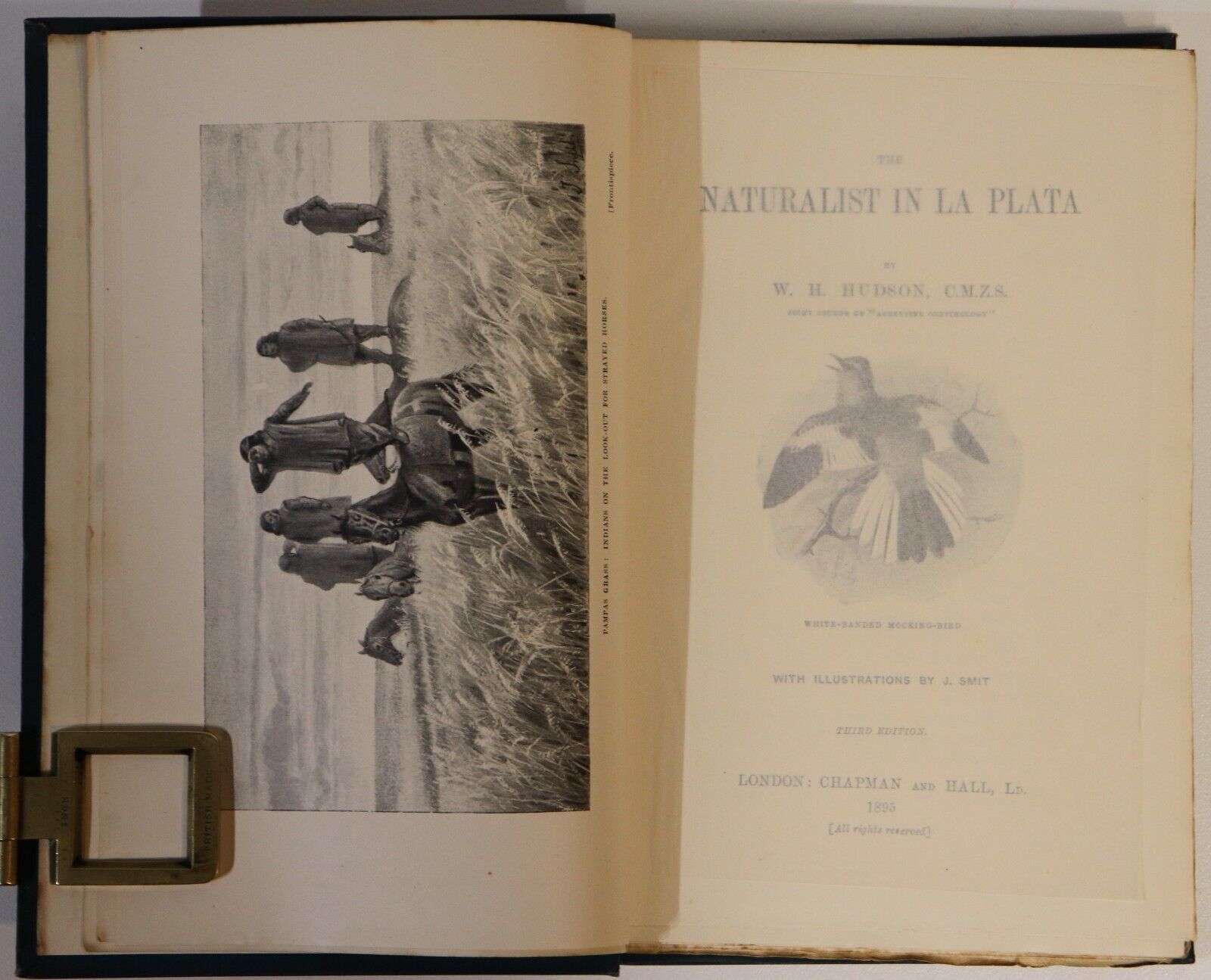 The Naturalist In La Plata by WH Hudson - 1895 - Antique Science & Nature Book