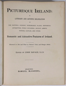 1884 Picturesque Ireland by John Savage Antiquarian Irish History Book Leather-5