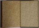 c1900 Tom's Nugget: A Story Of The Goldfields Antique Australian Fiction Book-9
