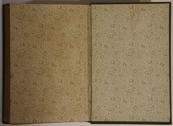 c1900 Tom's Nugget: A Story Of The Goldfields Antique Australian Fiction Book