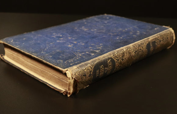 cbbdd33c-7114-478a-954c-3237b71e7821