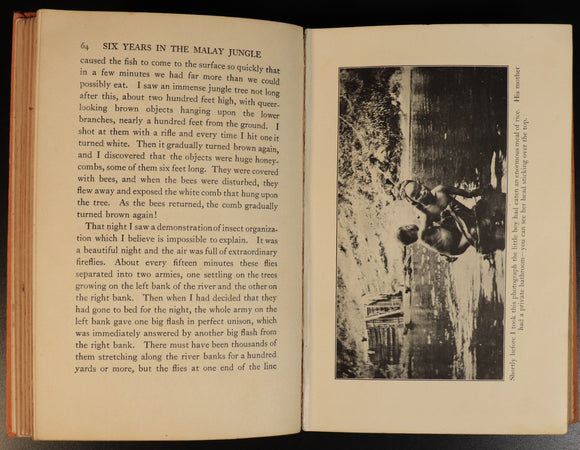 cbf87761-2c50-409c-a4e4-8e3841f29a0c