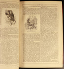 cc26850d-371f-40e9-8f7d-60c37922e407