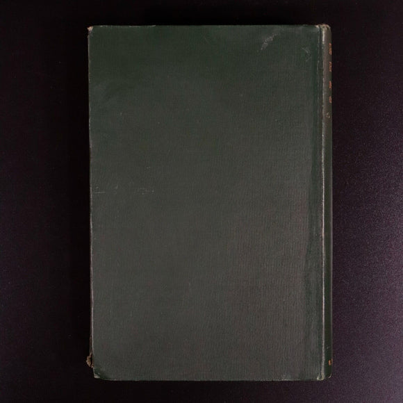 1897 Harold Effermere by Michael Costello Antique Australian Fiction Book Scarce