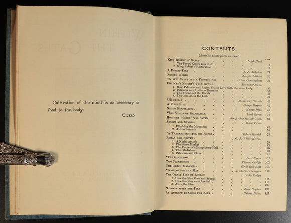 cc3ee017-cd81-4add-9196-385af26c9f5b