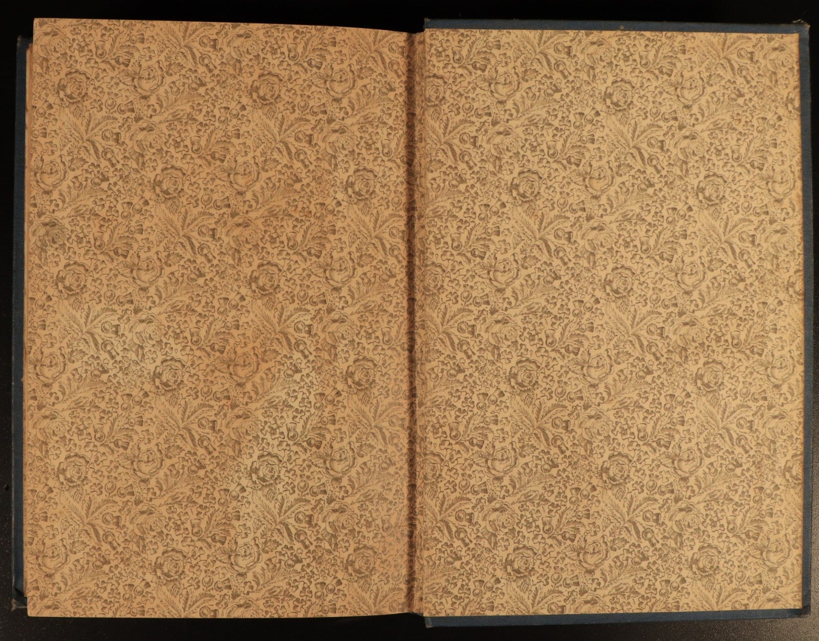 cc509544-af4d-4734-9698-7561792f2272
