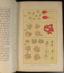 ccd2cc9d-14f6-4850-886e-055a4b6a9ac0