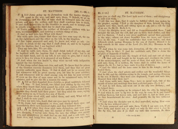 1871 The New Testament Of Our Lord Jesus Christ In Paragraphs Antiquarian Bible